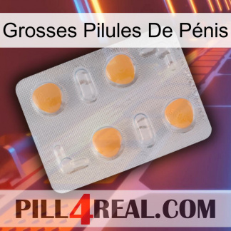 Grosses Pilules De Pénis 24